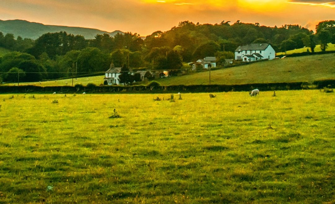 Story com frase sobre o campo
